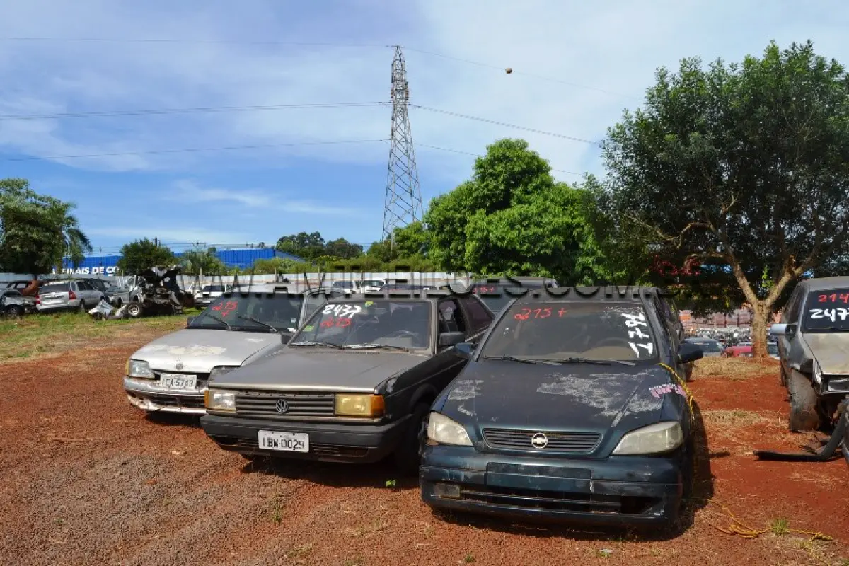 LOTE 0215