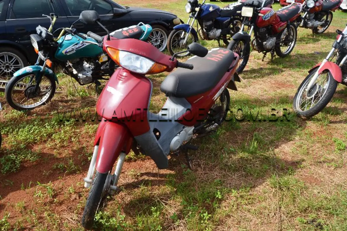 LOTE 0244