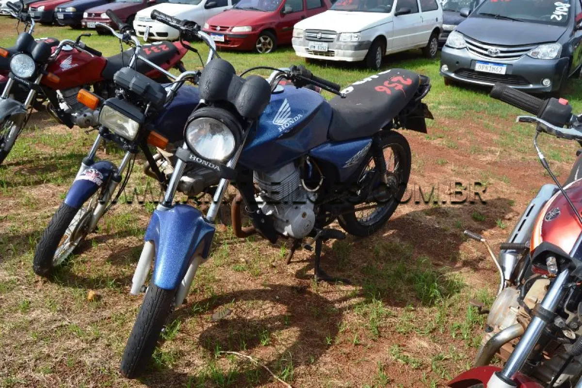 LOTE 0256