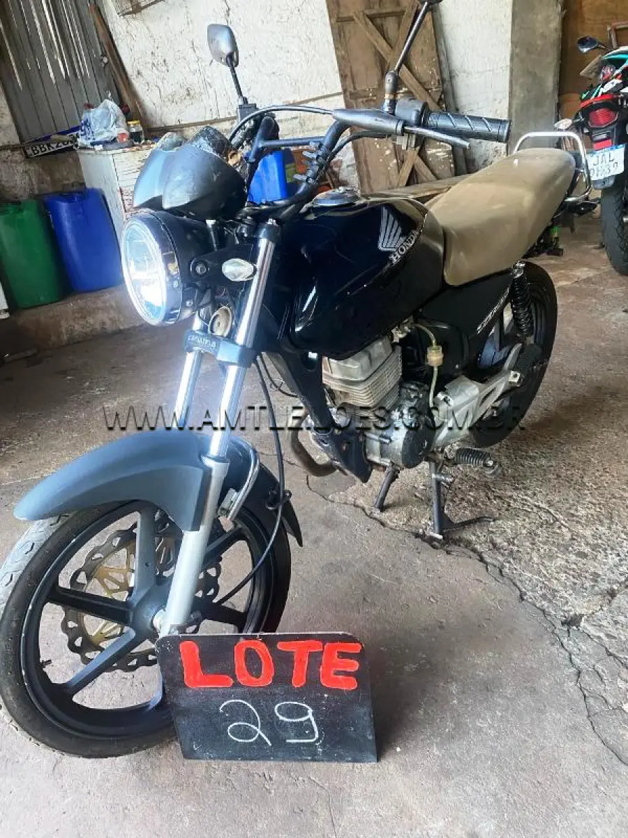 LOTE 0029