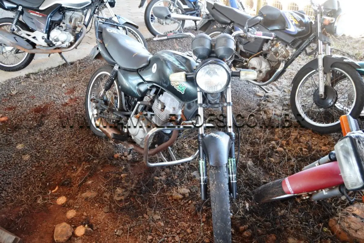 LOTE 0324
