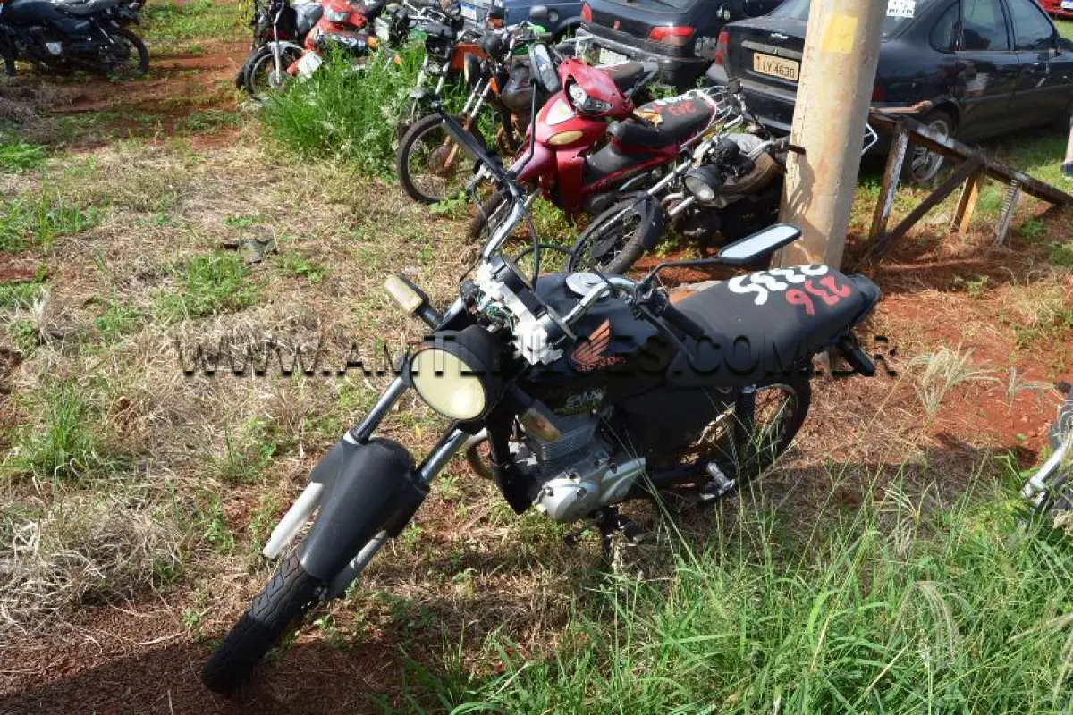 LOTE 0236