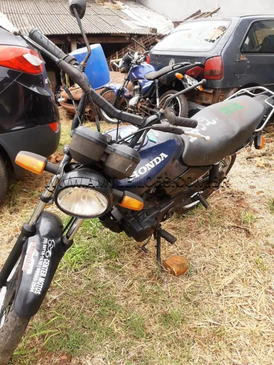 LOTE 0202