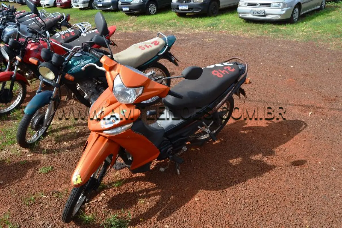 LOTE 0248