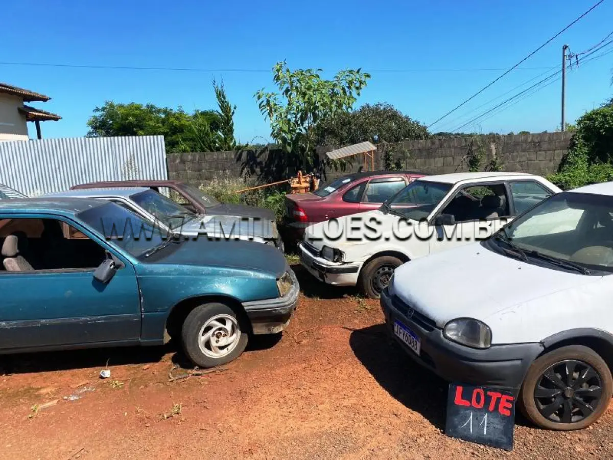 LOTE 0011