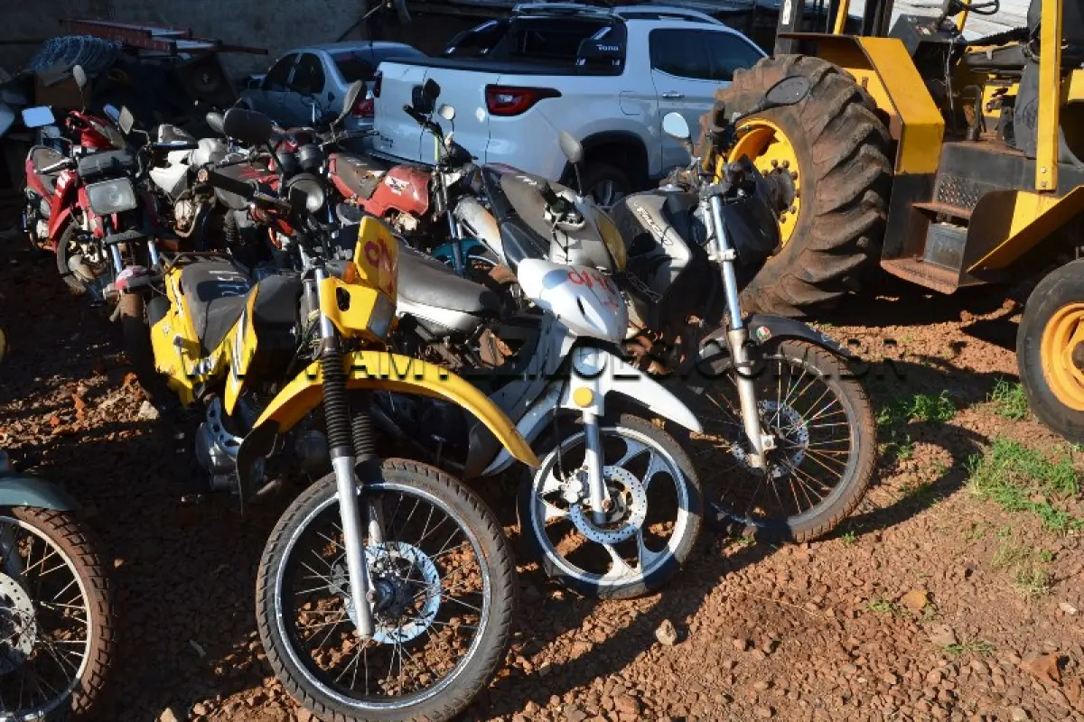 LOTE 0146