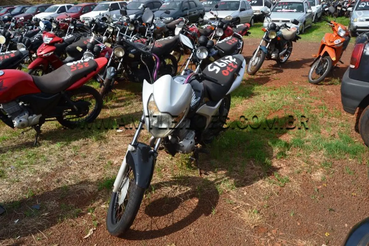 LOTE 0270