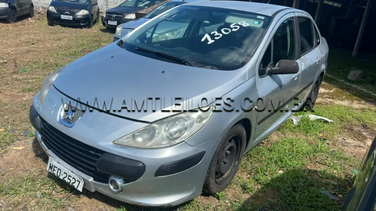 LOTE 13058