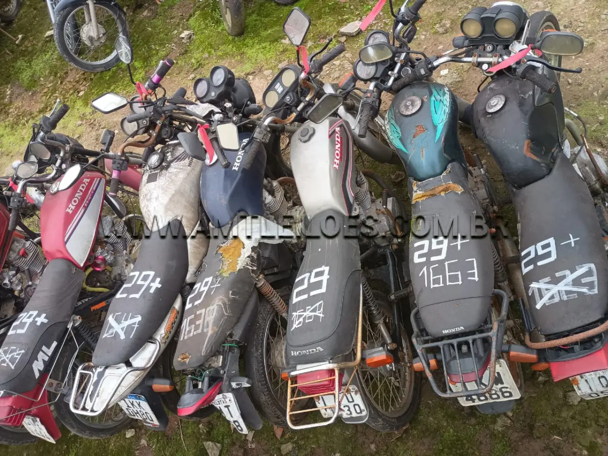 LOTE 0029