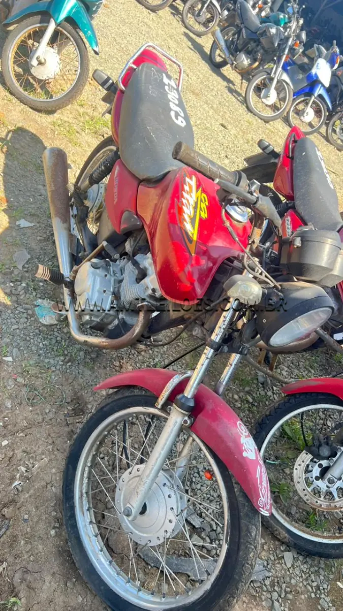 LOTE 13089