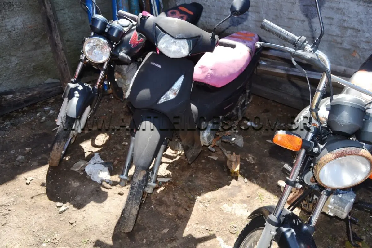LOTE 0016
