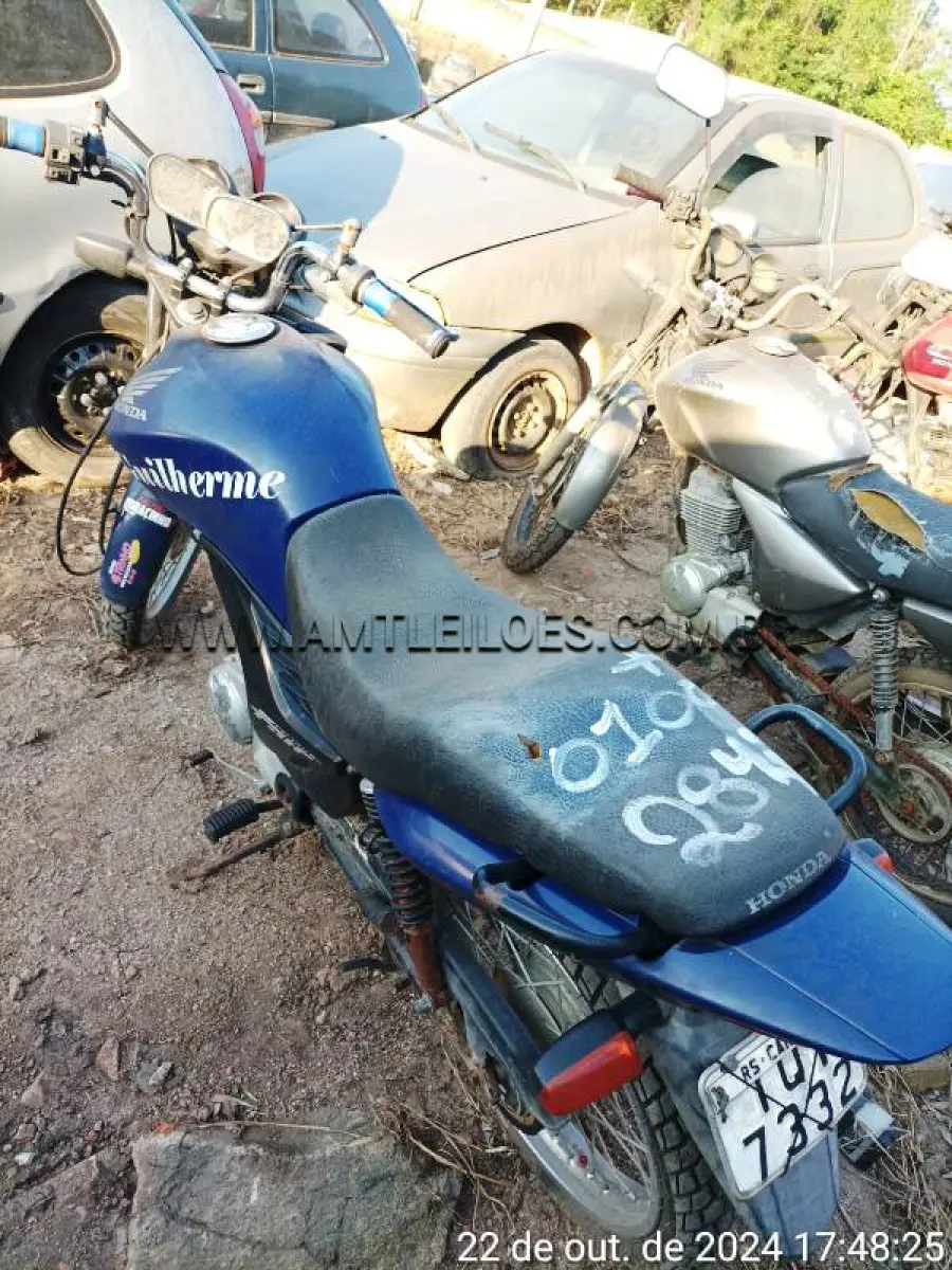 LOTE 0100