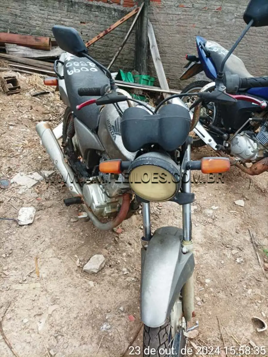LOTE 0099
