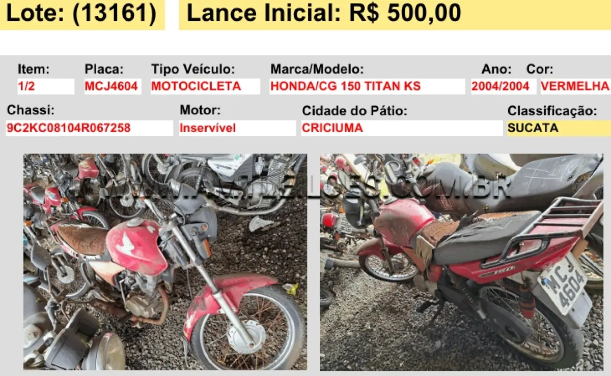 LOTE 13161
