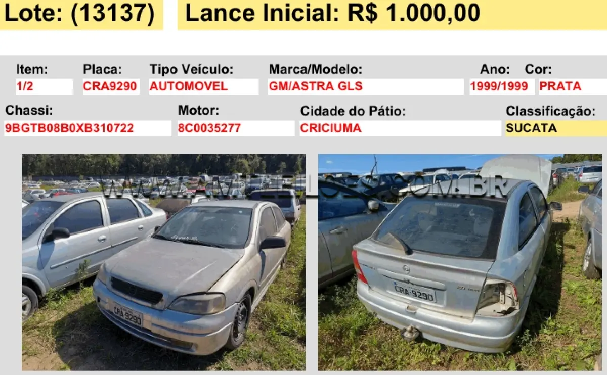 LOTE 13137