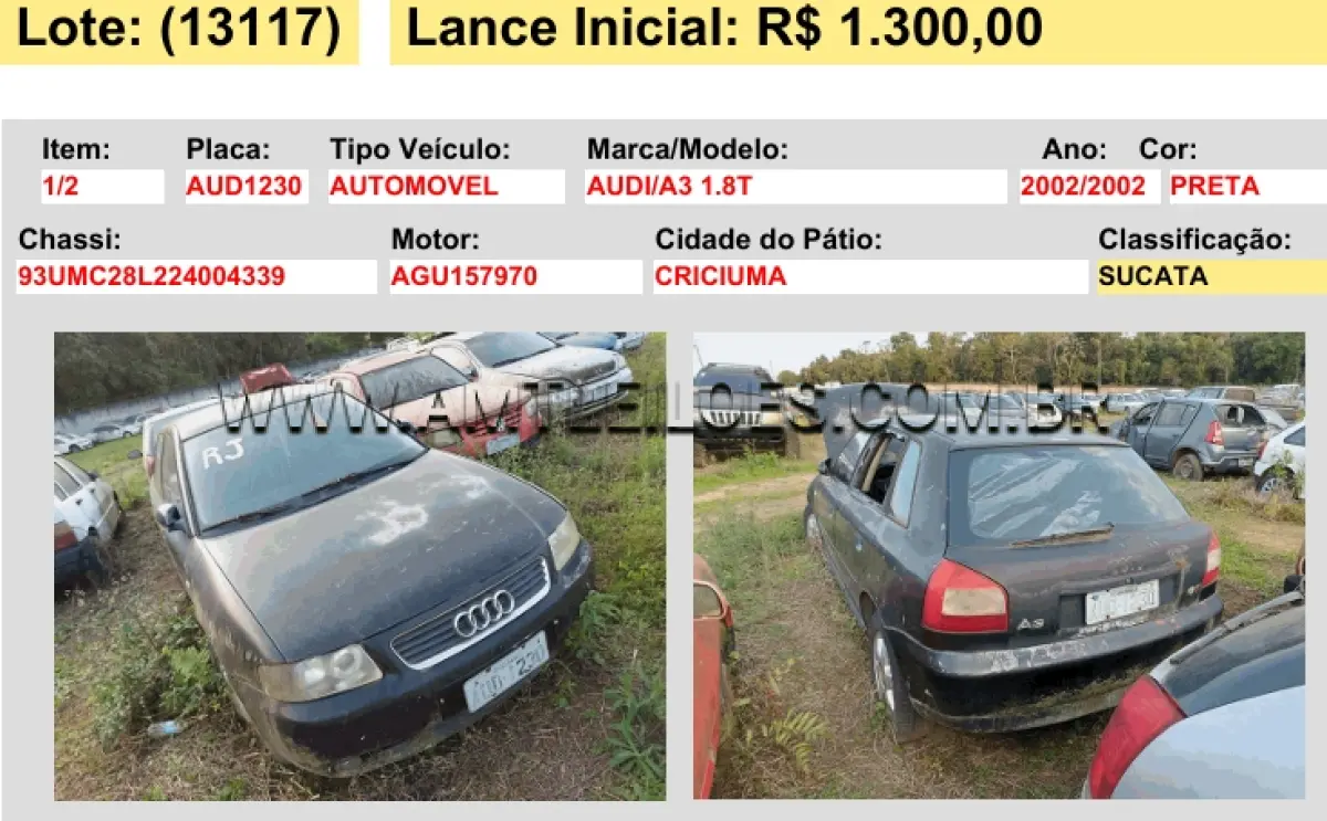 LOTE 13117