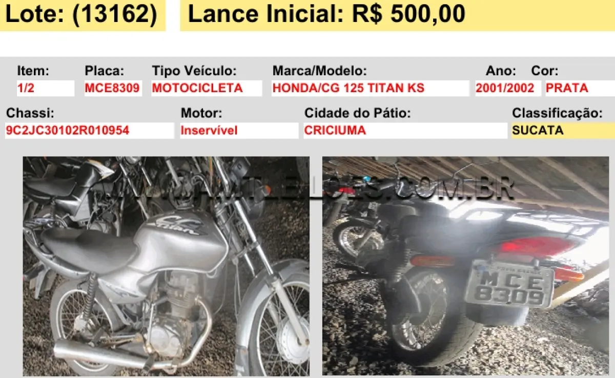 LOTE 13162
