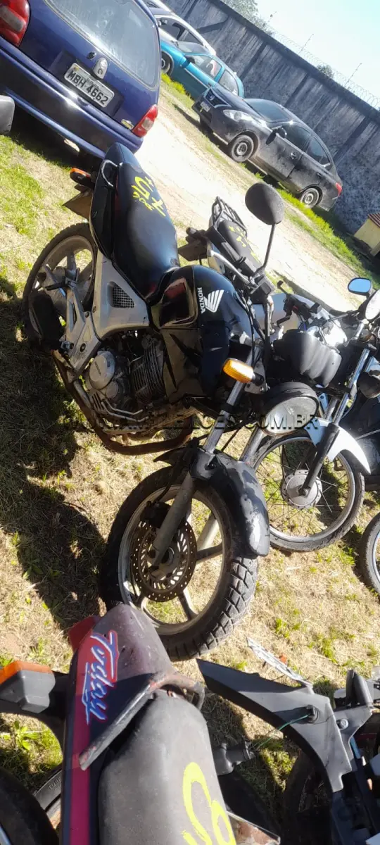LOTE 0075