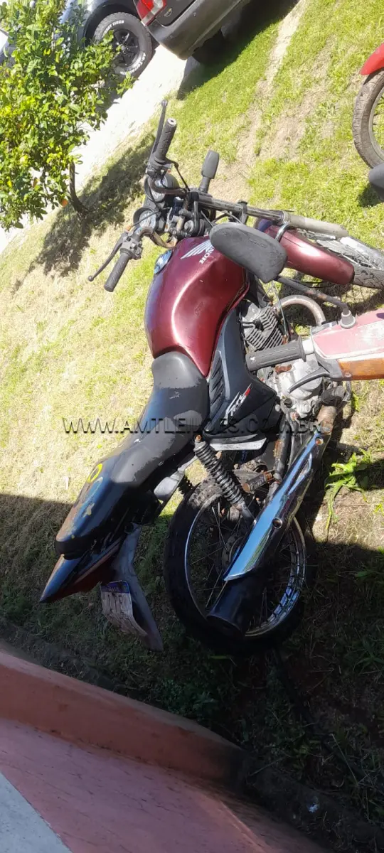 LOTE 0080