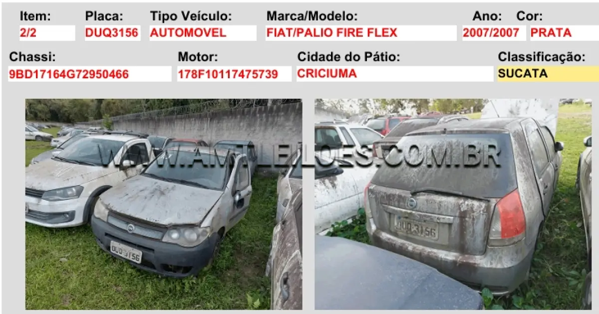 LOTE 13117