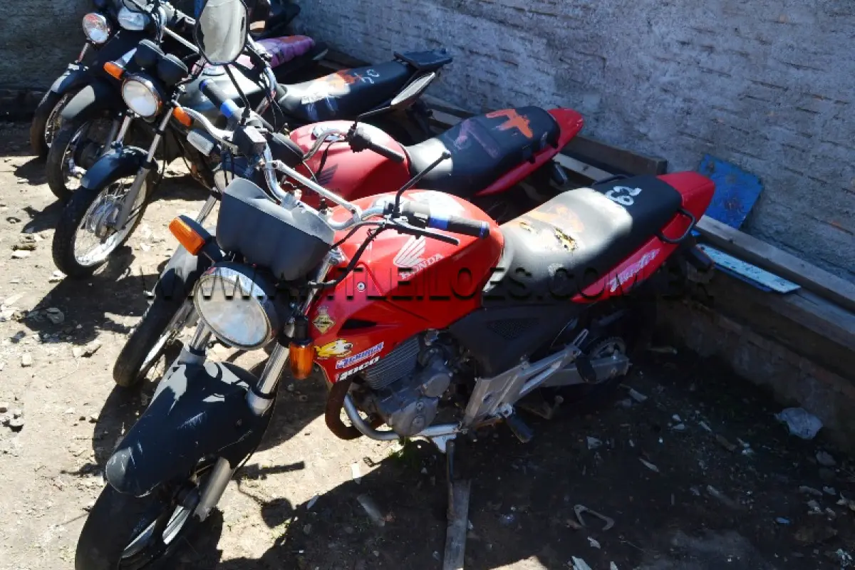 LOTE 0012