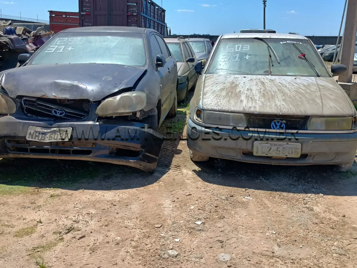 LOTE 0031