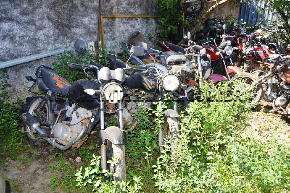 LOTE 0002