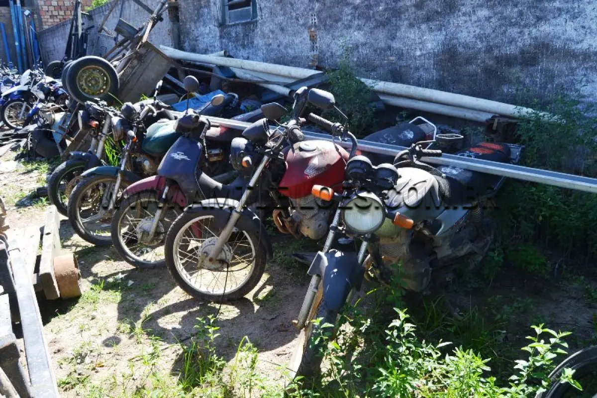 LOTE 0001