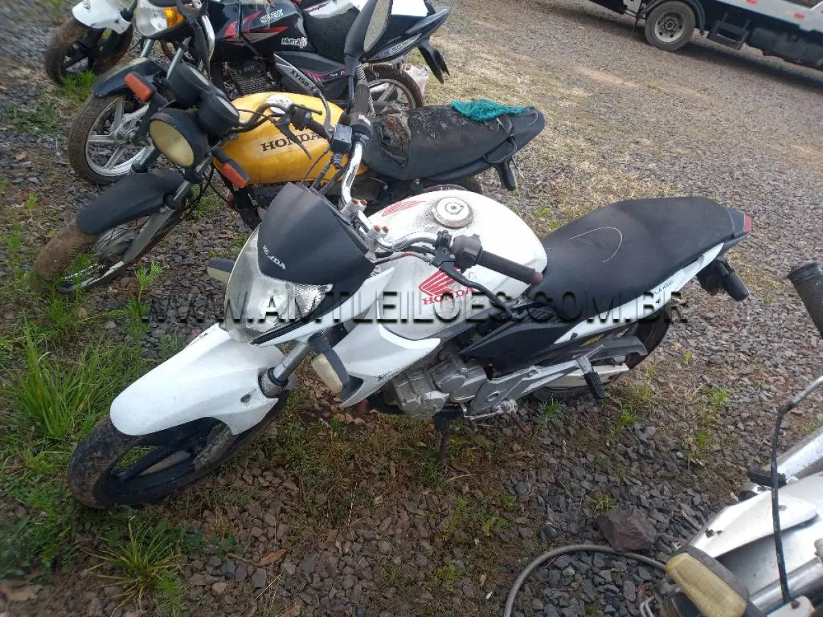 LOTE 39609