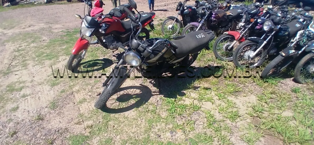 LOTE 0311