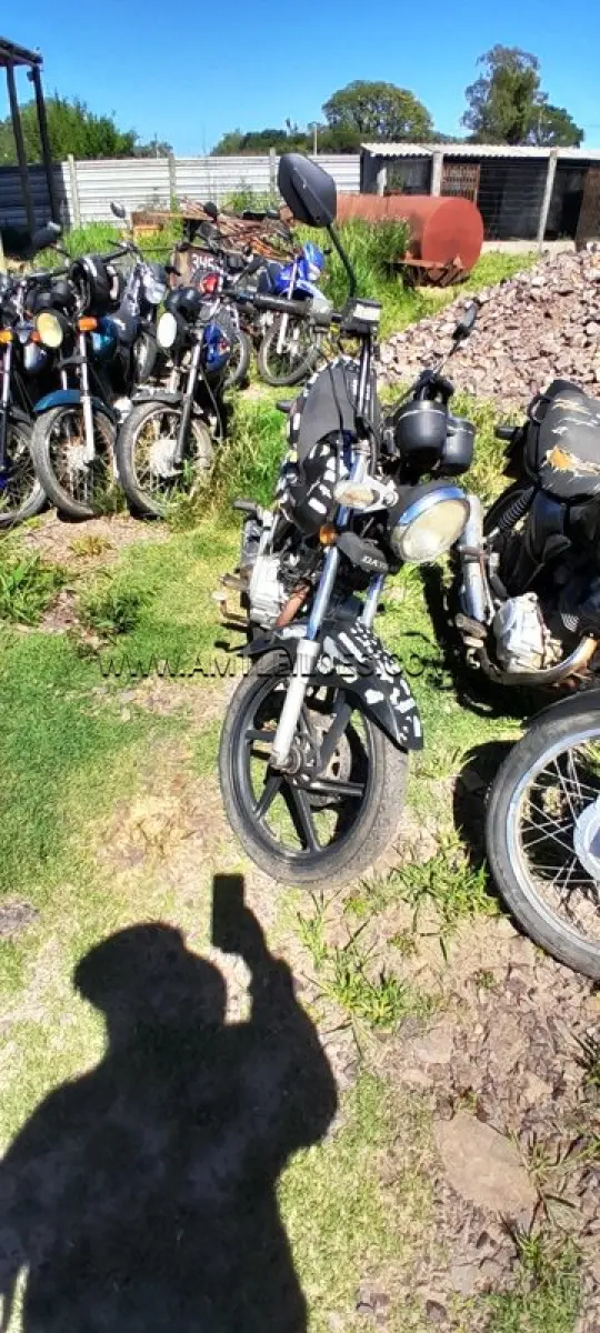 LOTE 0308