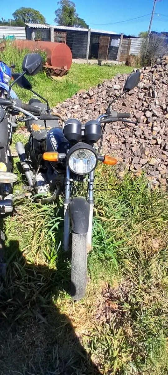 LOTE 0309