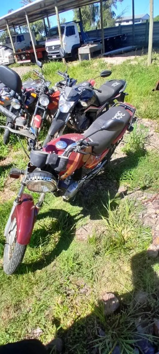 LOTE 0331