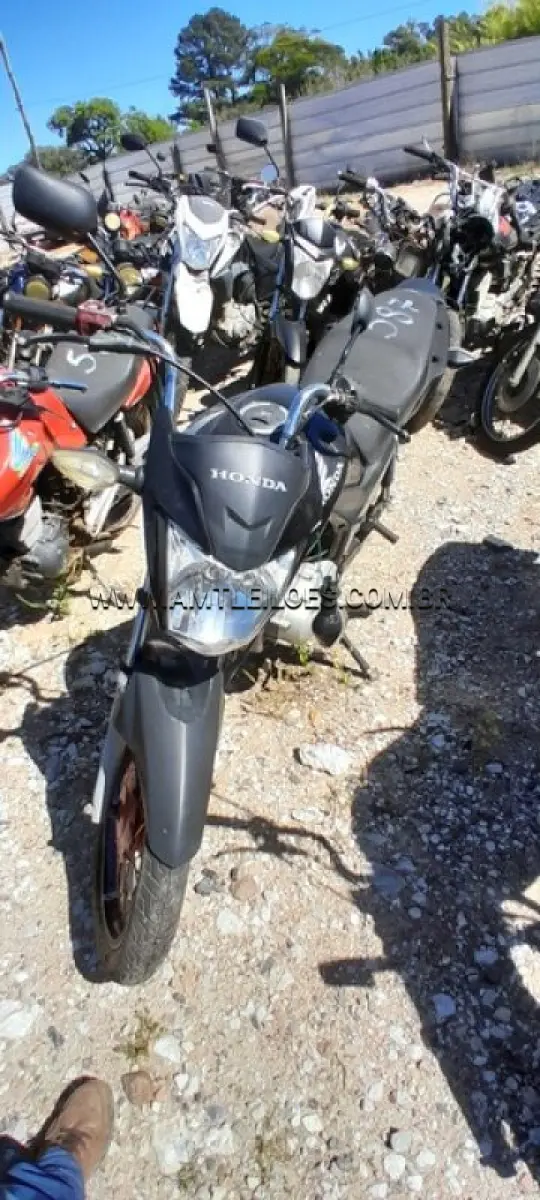 LOTE 0050