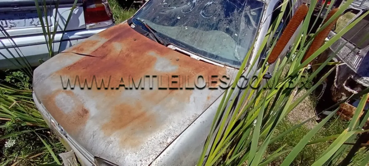 LOTE 0077