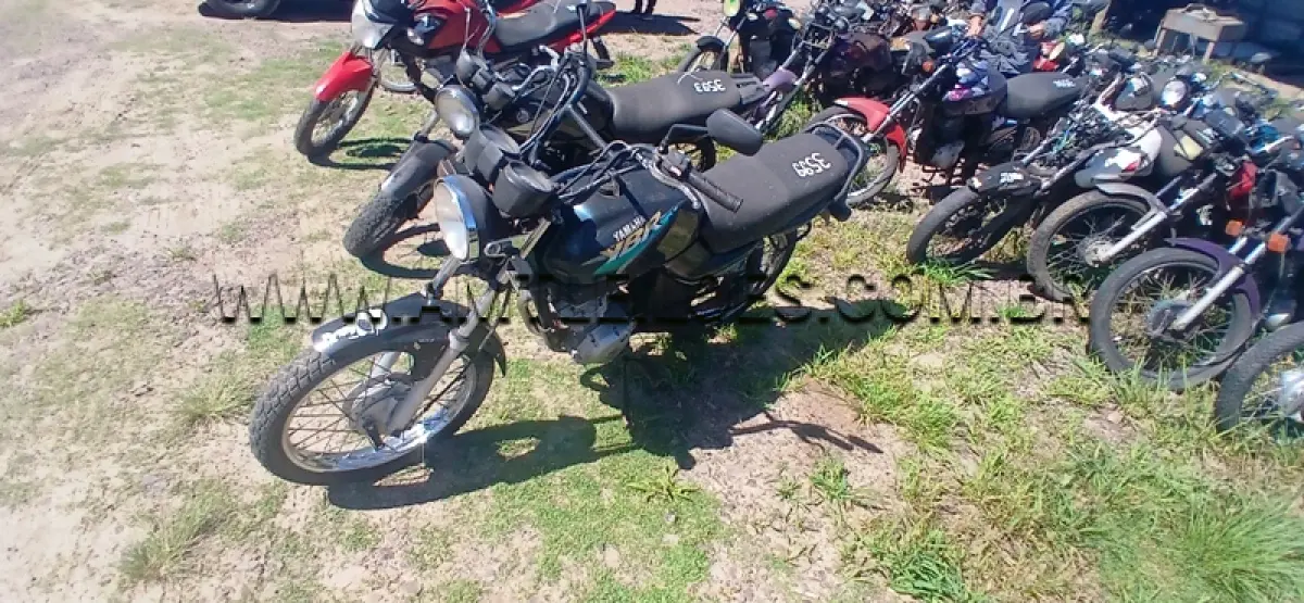 LOTE 0314