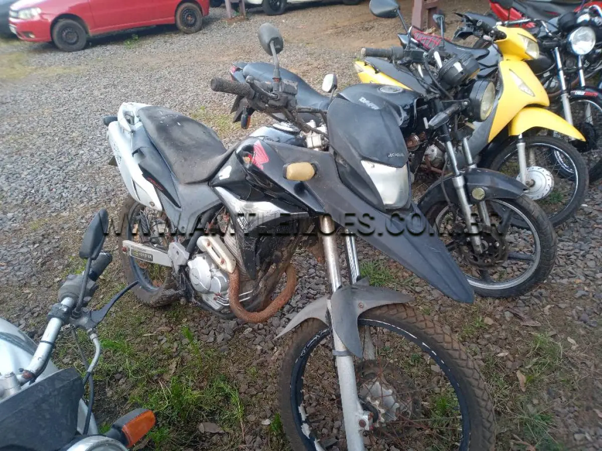 LOTE 39610