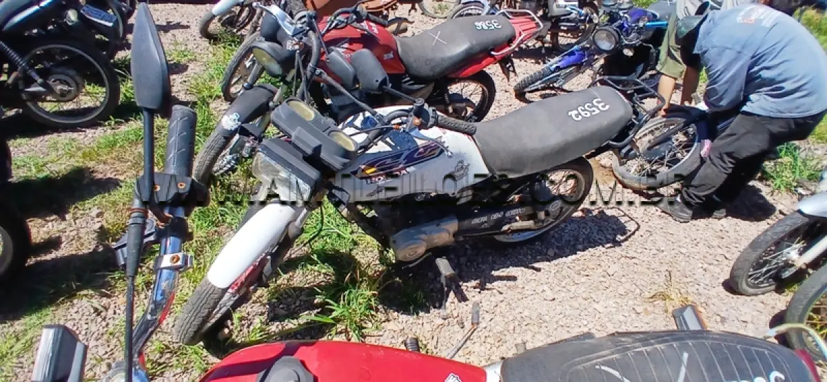 LOTE 0310