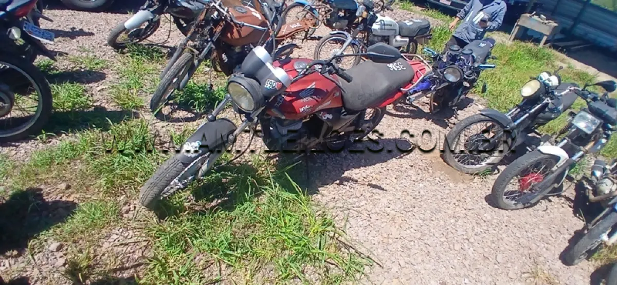 LOTE 0306
