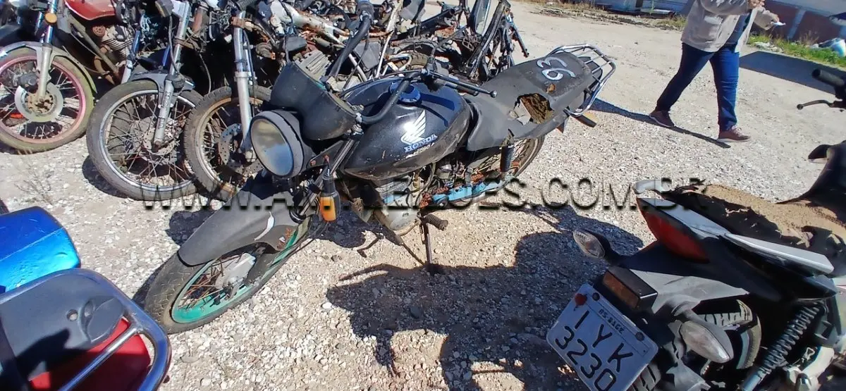 LOTE 0031