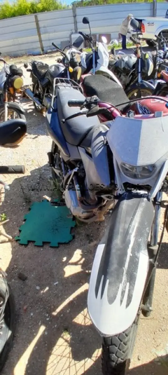 LOTE 0053