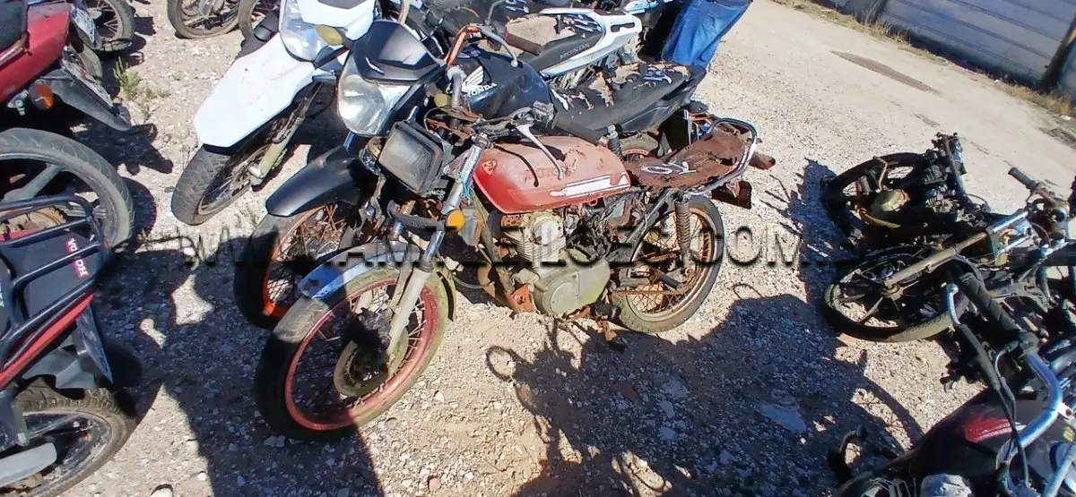 LOTE 0010