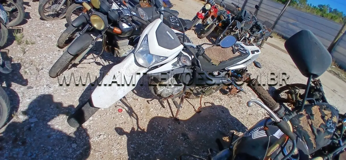 LOTE 0033