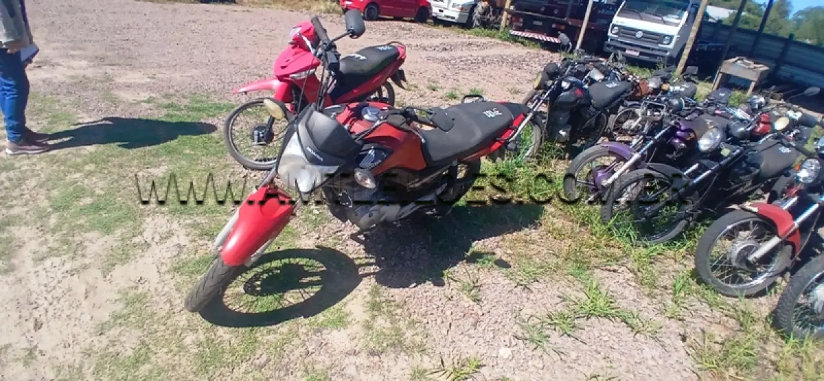 LOTE 0305