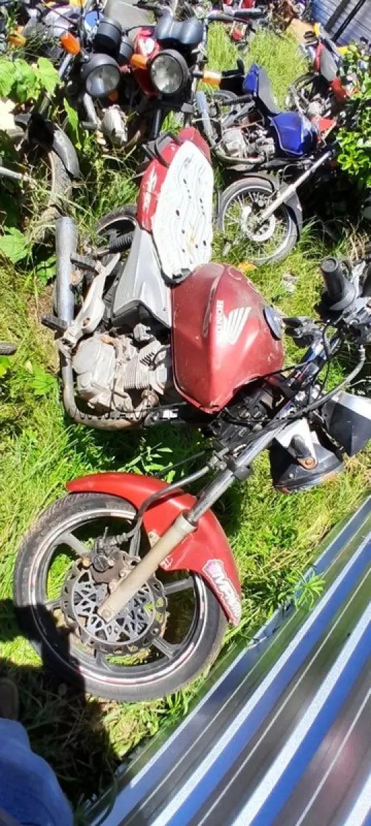 LOTE 0105