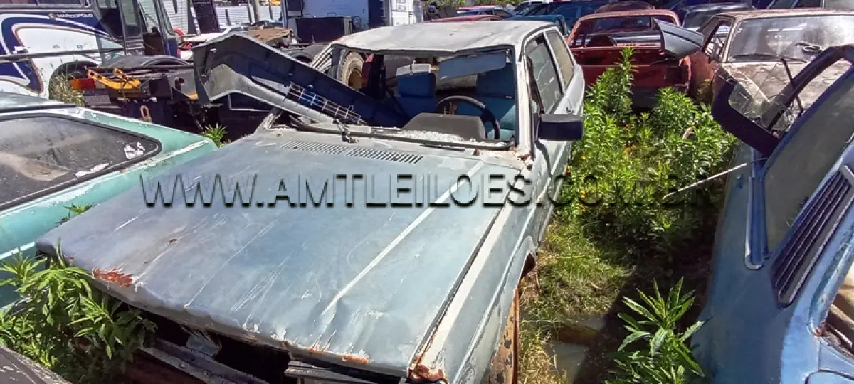 LOTE 0124