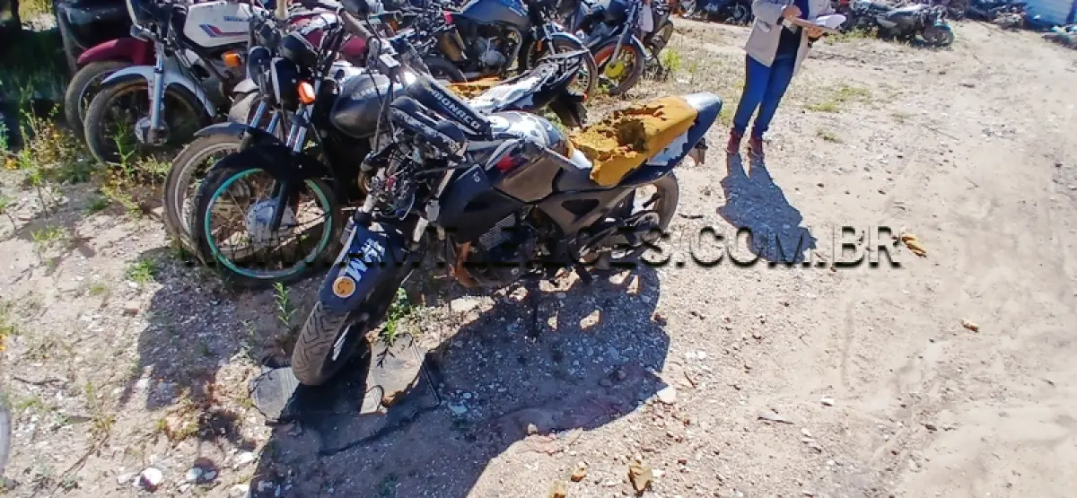 LOTE 0096