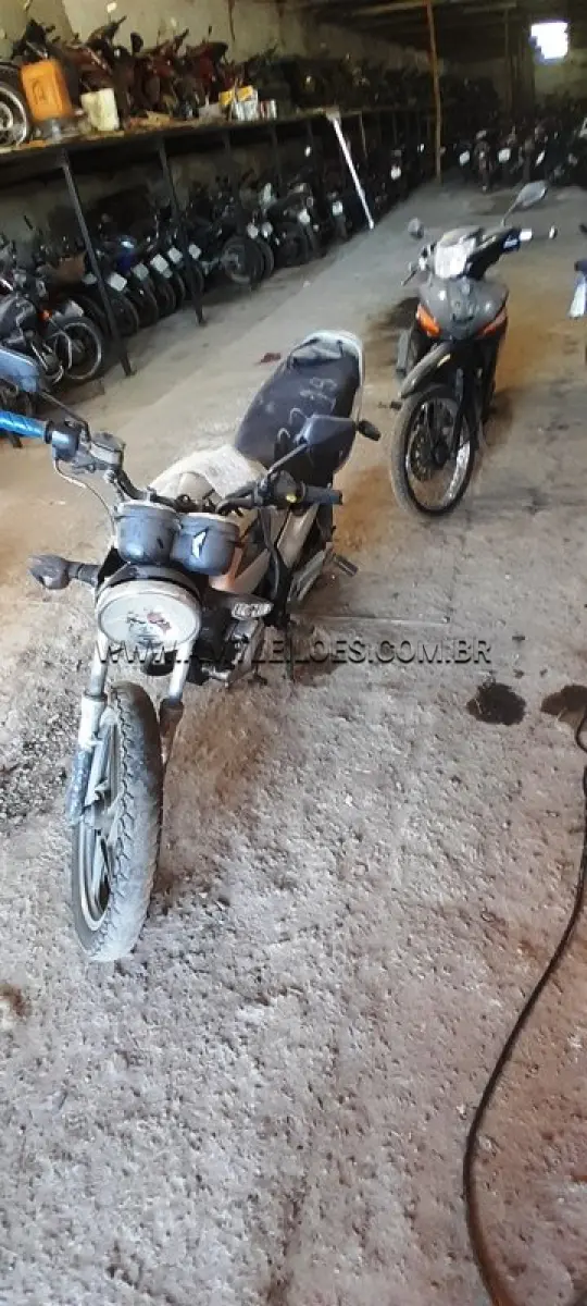 LOTE 0231