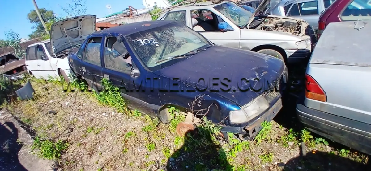LOTE 0125