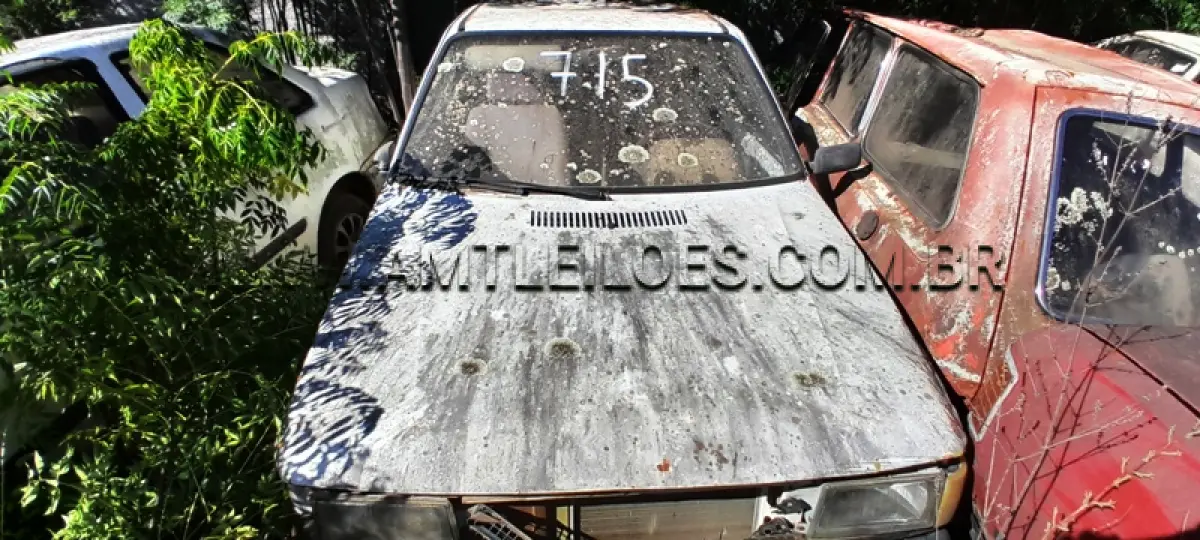 LOTE 0129
